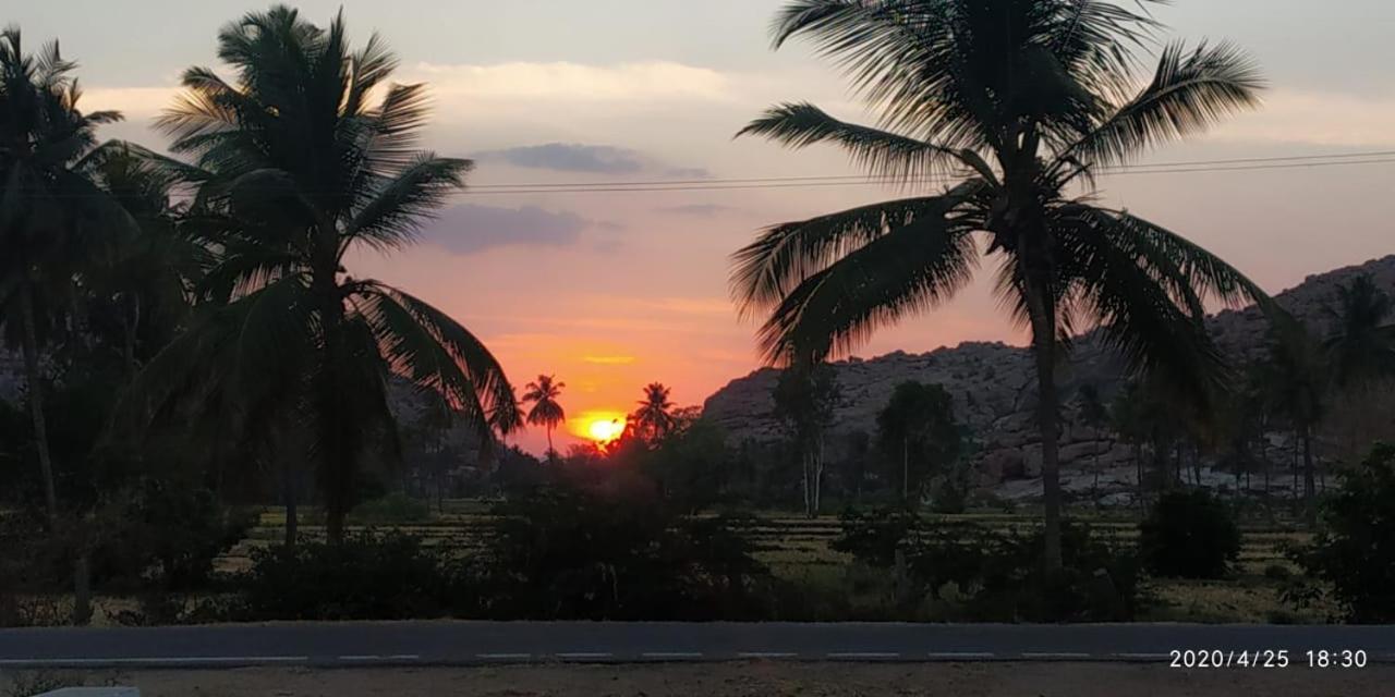 Island Vibes Hampi Guesthouse 外观 照片